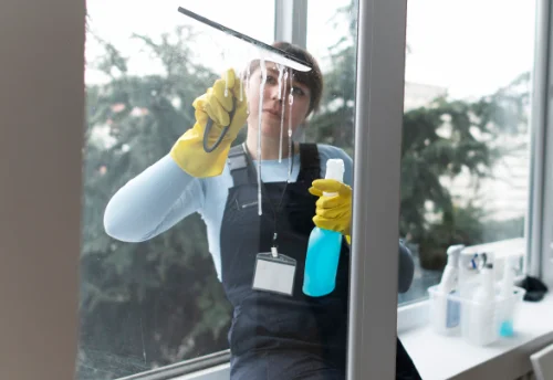 Nettoyage de vitres intérieures et extérieures à Perrou
